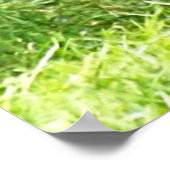 Poster Argent Mâle Gorille Lowland debout (Coin)