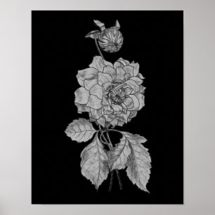 Poster Argent Peony Sur L'Art Floral Noir