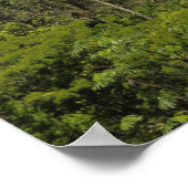 Poster Argentine, Iguacu Chute au soleil. (Coin)