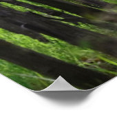 Poster Argentine, Mendoza, Rangée De Raisins Dans Le Vign (Coin)