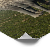 Poster Argentinosaurus dinosaure arbre alimentaire - rend (Coin)