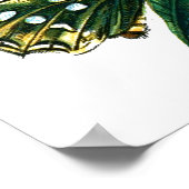 Poster Argynnis aglaja (Coin)