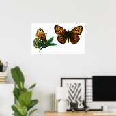 Poster Argynnis aglaja (Bureau à domicile)