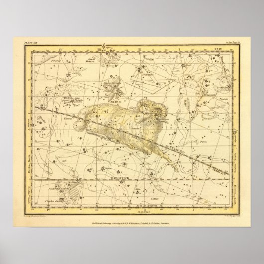 Poster Aries, Musca Borealis (Devant)