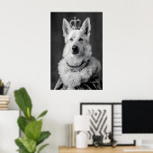 Poster Aristocratic German Shepherd Dog Portrait, Funny (Bureau à domicile)