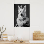 Poster Aristocratic German Shepherd Dog Portrait, Funny (Cuisine)