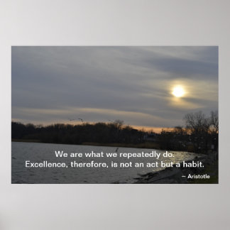 Poster Aristote - Excellence