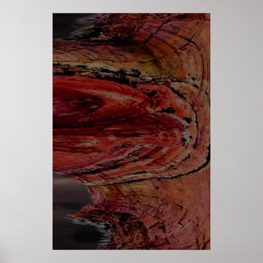 Poster Arizona (Devant)