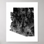 Poster Arizona (Devant)