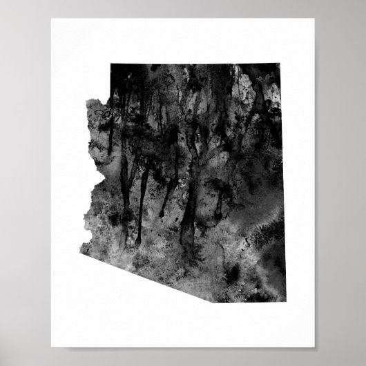 Poster Arizona (Devant)