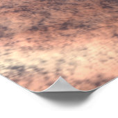 Poster Arizona (Coin)