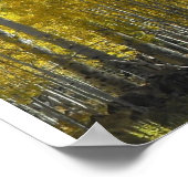 Poster Arizona Aspen (Coin)