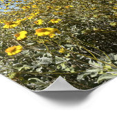 Poster Arizona Désert Fleurs Jaunes Paysage (Coin)