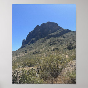 Poster Arizona Desert Picacho Peak State Park