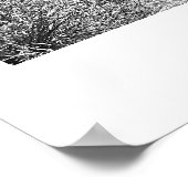 Poster Arizona Desert Picacho Peak State Park Exploration (Coin)