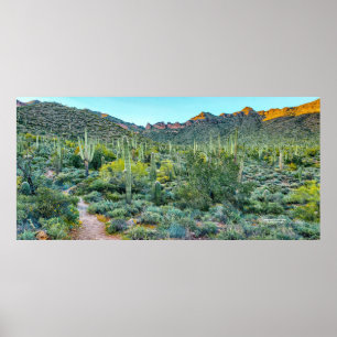 Poster Arizona Desert Randonnée Trail Saguaro Cactus Fore