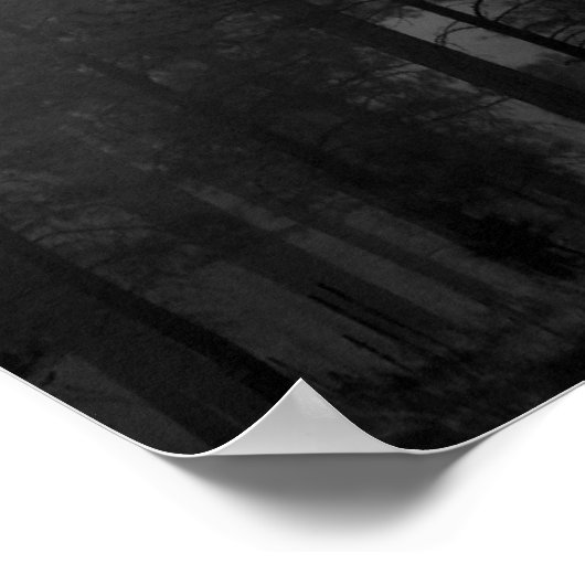 Poster Arizona Fog (Coin)