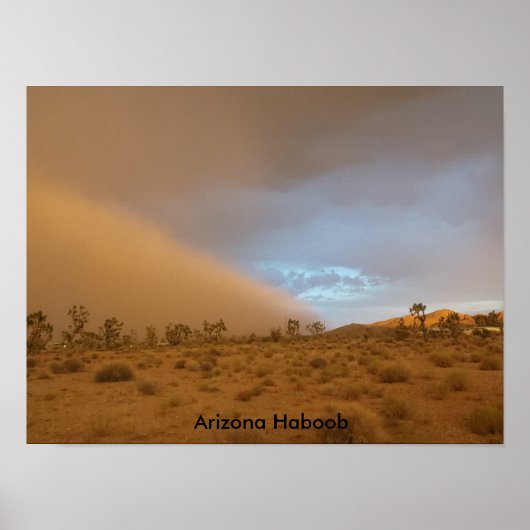 Poster Arizona Haboob (Devant)