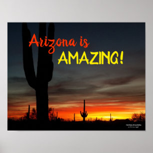 Poster "Arizona is Amazing !" Cactus Sunset Sonoran