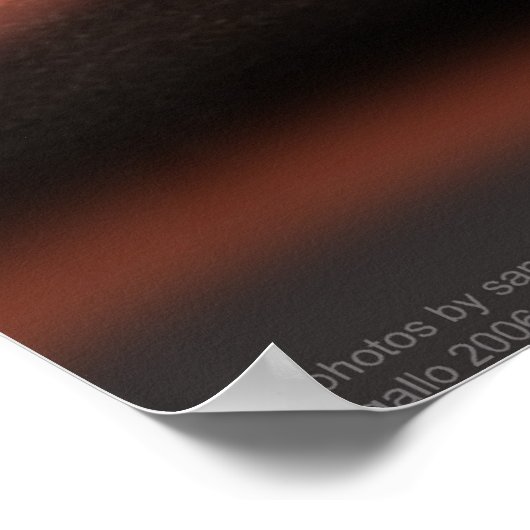 Poster Arizona Raven (Coin)