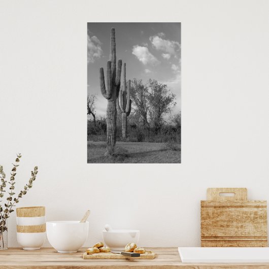 Poster Arizona Saguaro (Cuisine)