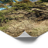 Poster Arizona Saguaro Cactus Désert (Coin)