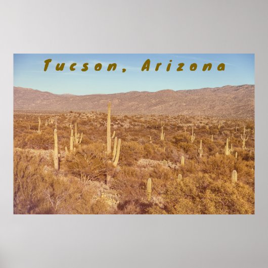 Poster Arizona Saguaros (Devant)