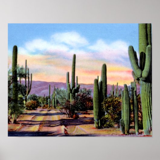 Poster Arizona Sonoran Desert Scene (Devant)