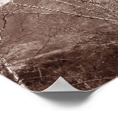 Poster Arizona Windmill (Coin)