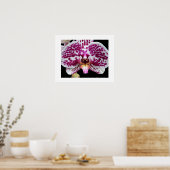 Poster Arlequin Phalaenopsis Orchidée Fleuron (Cuisine)