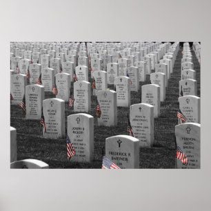 Poster Arlington B&W Drapeaux couleur