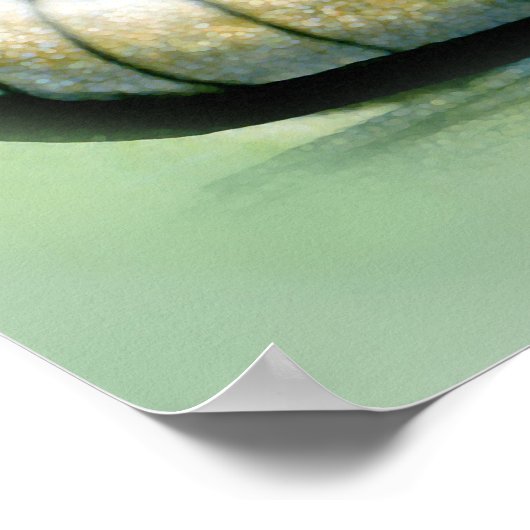 Poster Armadillo (Coin)