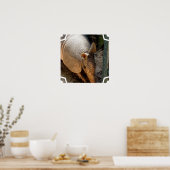 Poster Armadillo (Cuisine)