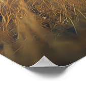 Poster Armadillo dans la Savannah d'or (Coin)