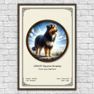 Poster Armant (chien de berger égyptien) Série de zoologi