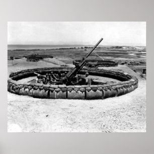 Poster Arme à feu d'aa sur l'Okinawa