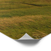 Poster Arme de reprise Alaska (Coin)