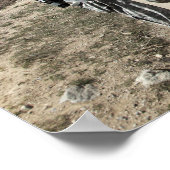 Poster Armée nationale afghane et soldats américains (Coin)