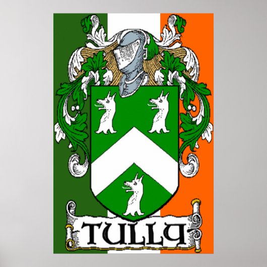 Poster Armoiries de Tully Drapeau irlandais (Devant)