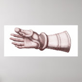 Poster Armor Gauntlet tenant un serpent Ancienne image un (Devant)