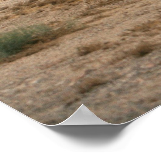 Poster Armure à la Secourt (Coin)