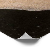 Poster Arnolfini et Portrait de femme (détail) (Coin)