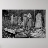 Poster ArnosVale4 (Devant)