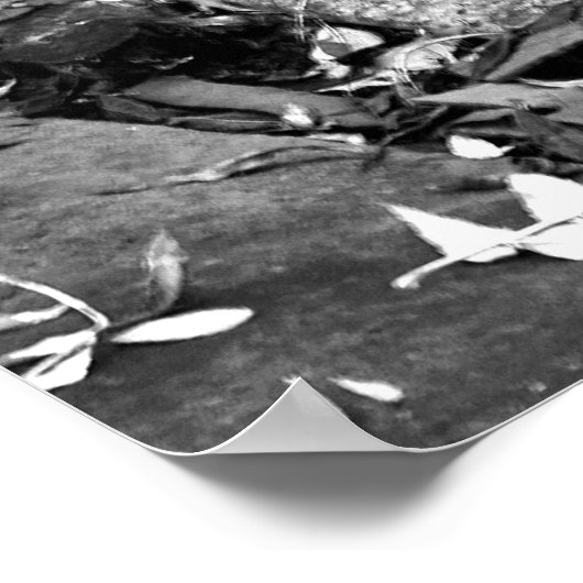 Poster ArnosVale7 (Coin)