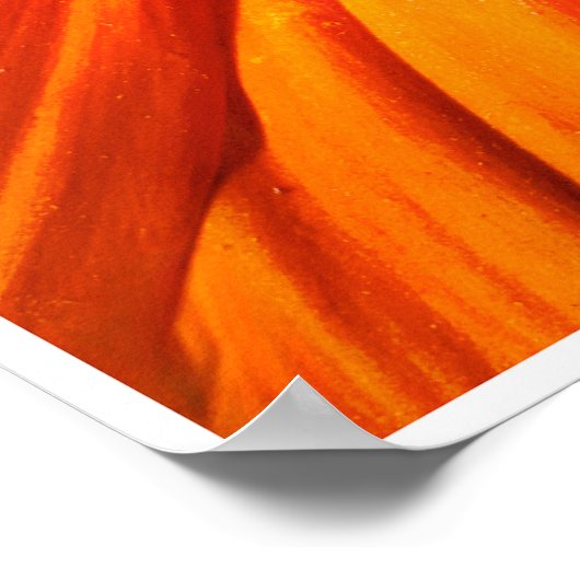 Poster Around the Center (Coin)