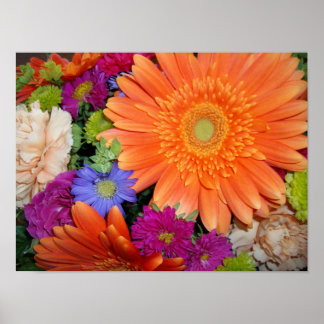 Poster Arrangement Gerber Daisy