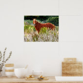 Poster Arrêt de Cheval Sauvage (Cuisine)