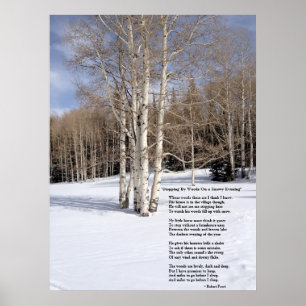 Poster Arrêt par des bois une soirée de Milou