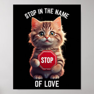 Poster Arrête au nom de l'amour