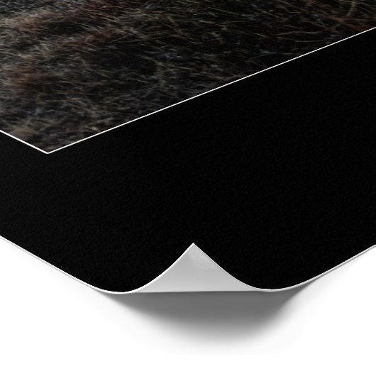 Poster ARRÊTE ! ! ! Regarde ce coucher de soleil ! (Coin)